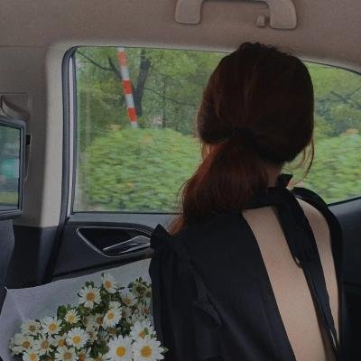 一个叫欧维的男人决定去死